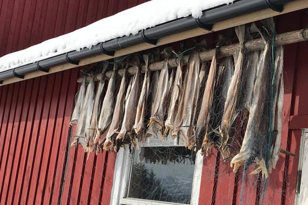 Nordlandshus Ved Lofotr Villa Bostad Dış mekan fotoğraf